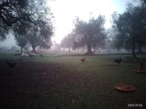 Benvenuti nel mio mondo; Lamia Pellegrino
