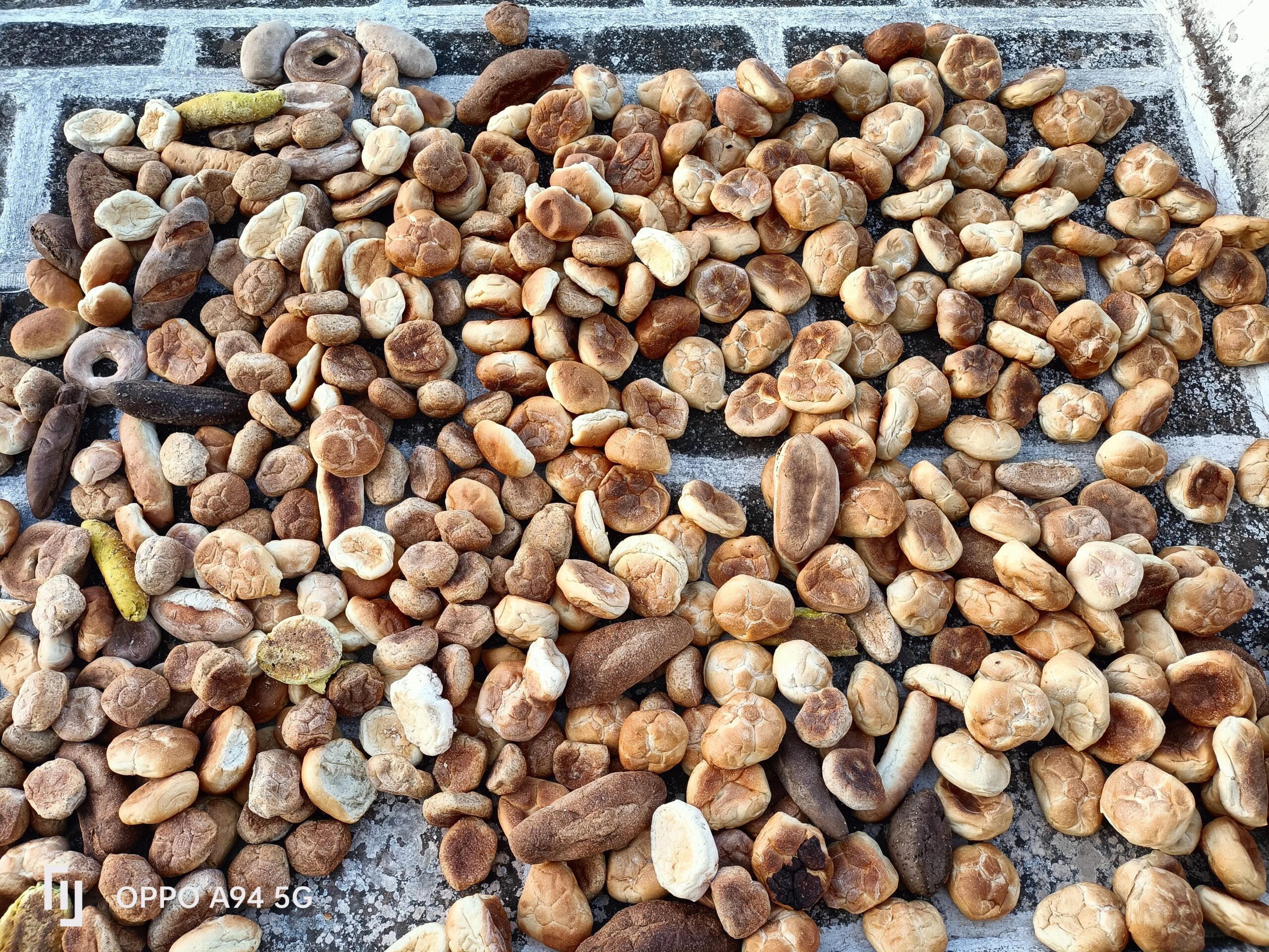 spreco alimentare